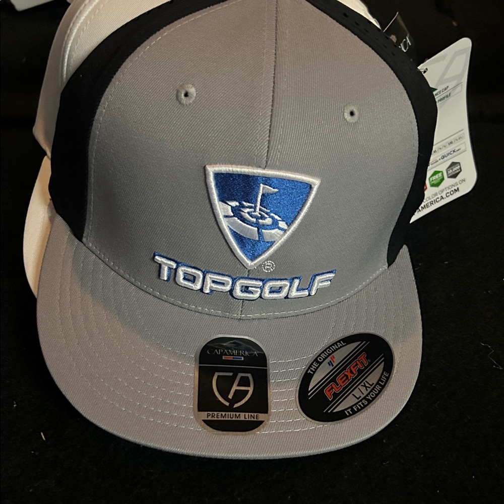 Topgolf Grey & Black Logo Flexfit Cap